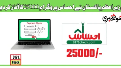 8171 Web Portal 25000 Check Online | How To Earn Money From Online